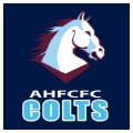 Ahfcfc Colts
